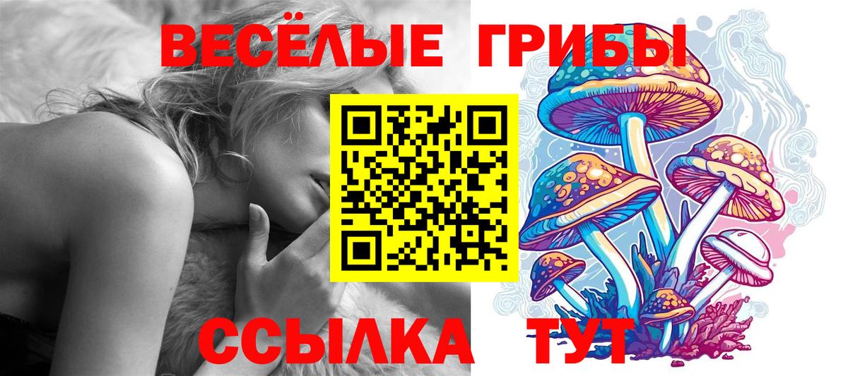 Псилоцибиновые грибы Magic Shrooms Зерноград