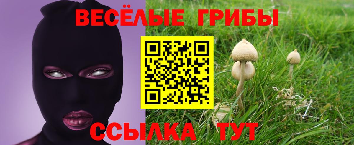 Галлюциногенные грибы Cubensis  Вход с VPN  Зерноград 